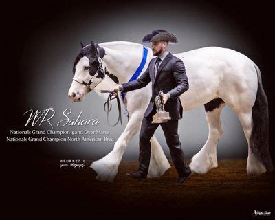 hanes performance horses.